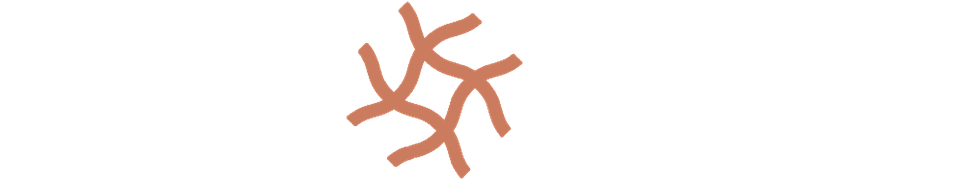 Work with Adsum IoT Coder